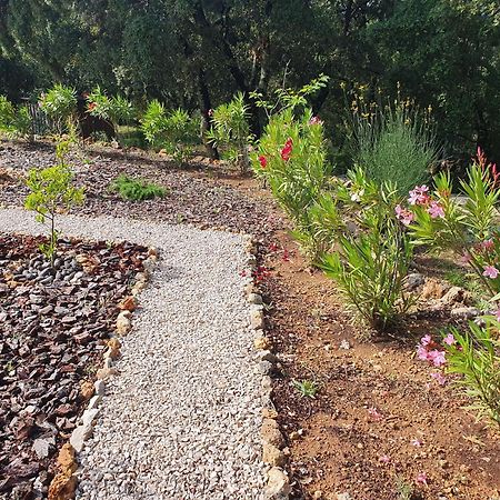 Villa En Provence Verte Carcès Zewnętrze zdjęcie